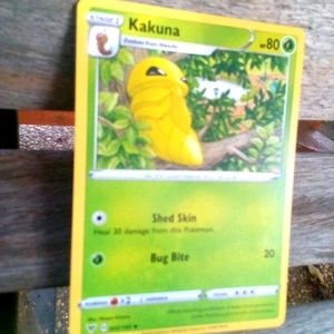 A Kakuna pokemon